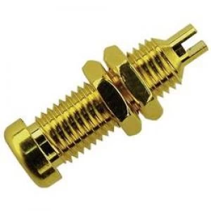 Jack socket Socket vertical vertical Pin diameter 4mm Gold SK