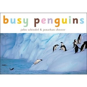 Busy Penguins by Jonathan Chester, John Schindel (Board book, 2000)