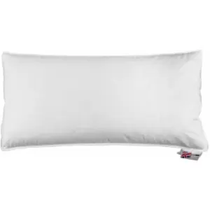 HOMESCAPES Goose Feather & Down Euro Continental Pillow - 40cm x 80cm (16x32) - White