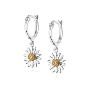 Daisy London Jewellery 925 Sterling Silver and 18ct Gold Plate English Daisy Drop Earrings
