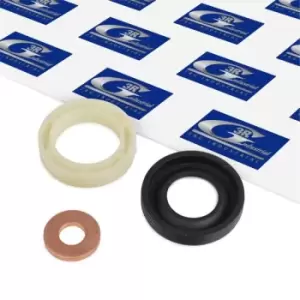 3RG Gaskets 83247 Seal Kit, injector nozzle PEUGEOT,CITROEN,MINI,206 Schragheck (2A/C),206 CC (2D),207 (WA_, WC_),307 SW (3H),307 (3A/C),407 SW (6E_)