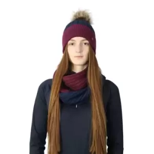 Hy Womens/Ladies Synergy Luxury Snood (One Size) (Navy/Fig)