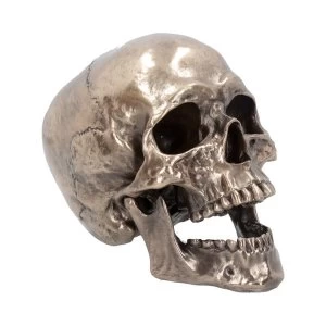 Cranius Skull Figurine