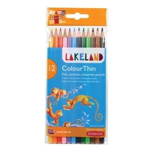 Lakeland ColourThin Hard wearing Colouring Pencils with Hexagonal Barrel Assorted Colours Pack of 12