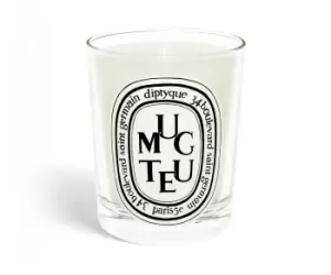 Muguet / Lily of the Valley candle 190g