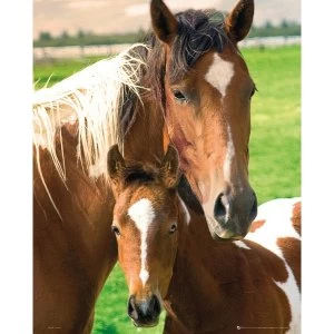 Horses Mare & Foal Mini Poster