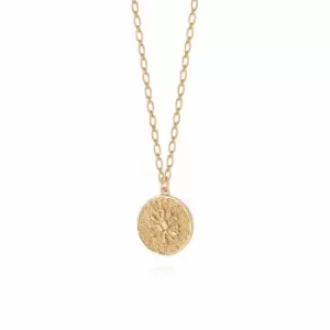 Daisy London 18ct Gold Plate Artisan Woven Necklace 18ct Gold Plate