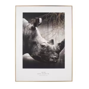 Rhino 60x80cm Large Monochrome Framed Wall Art Gold