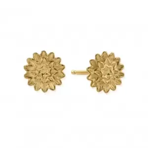 Gold Botanical Beauty Stud Earrings GEST3299