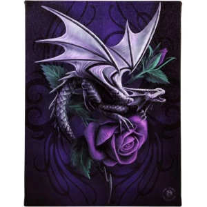Small Dragon Beauty Canvas Picture by Anne Stokes
