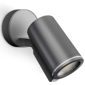 Outdoor Sensor Spotlight Spot One Sensor Connect Black - Black - Steinel