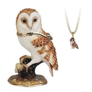 Secrets from Hidden Treasures Barn Owl