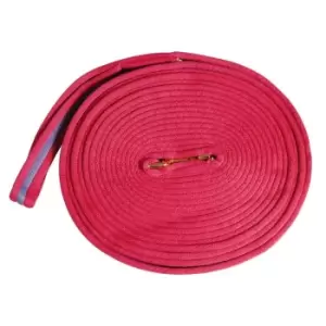 Kincade Two Tone Padded Lunge Rein - Pink
