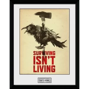 Days Gone Crow Collector Print