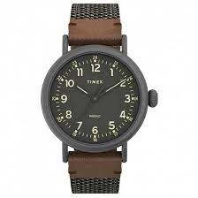 Timex Green 'Standard' Fashion Watch - TW2U89700