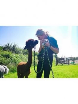 Virgin Experience Days Alpaca Trekking And Entry To Eagle Heights Wildlife Foundation In Kent For Two
