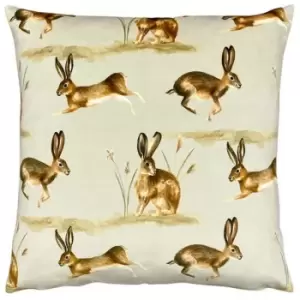 Evans Lichfield Country Hare Cushion Cover (One Size) (Taupe)