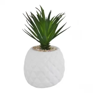 Succulent In Pineapple Shaped Pot