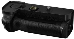 Panasonic DMWBGS1E Battery Grip