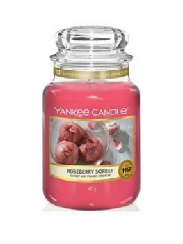 Yankee Candle Garden Hideaway Collection Large Jar Candle ; Roseberry Sorbet