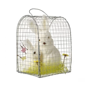 Two Rabbits In A Cage By Heaven Sends