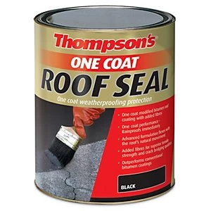 Thompsons One Coat Roof Seal - Black 5L
