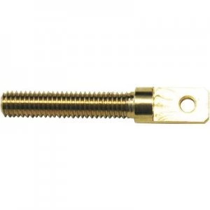 Modelcraft 11589/RM-30 Brass Eye bolt External thread M3 23mm 4 pc(s)