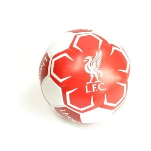 Liverpool Mini 4" Soft Ball