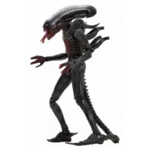 Bloody Xenomorph (Alien 40th Anniversary) Neca Action Figure