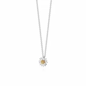 Daisy London Jewellery 925 Sterling Silver and 18ct Gold Plate English Daisy Necklace Sterling Silver