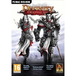 Divinity Original Sin PC Game