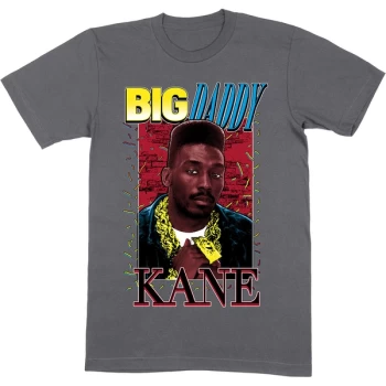 Big Daddy Kane - Ropes Unisex Medium T-Shirt - Grey