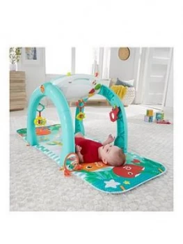 Fisher Price 4 in 1 Ocean Activity Gym One Colour