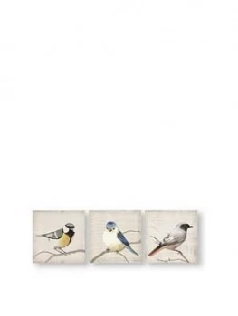 Graham & Brown Set Of 3 Perched Bird Canvas Prints