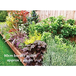 Garden On A Roll Mixed Sunny Border Pack 10m x 60cm Plants - wilko