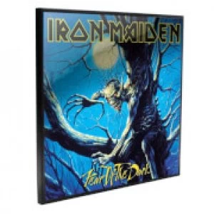 Iron Maiden - Fear Of The Dark Crystal Clear Pictures Wall Art
