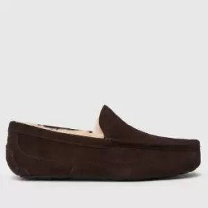 UGG Brown Ascot Slippers