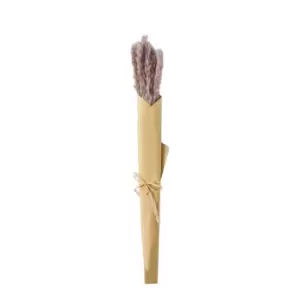 Gallery Interiors Clark Dried Reed Grass Bundle in Paper Wrap Lilac