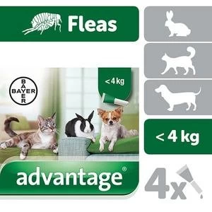 Advantage Flea Treatment 40 Spot Small Cats Dog and Rabbits