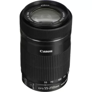 Canon EF S 55 250mm f4 5.6 IS STM Lens
