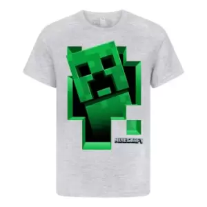 Minecraft Boys Creeper Inside T-Shirt (7-8 Years) (Grey)