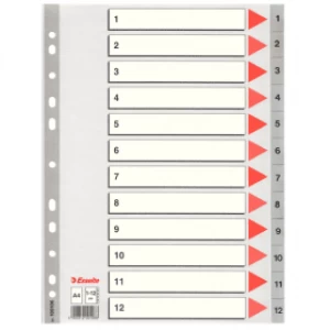 Esselte 100106 A4 Plastic Dividers Grey with 12 Tabs (11 holes)