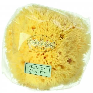 Hydrea London Honeycomb Sea Sponge, Size 4 - 4.5