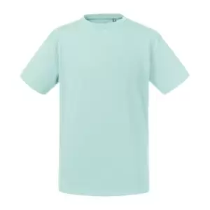 Russell Childrens/Kids Organic Short-Sleeved T-Shirt (5-6 Years) (Aqua Blue)