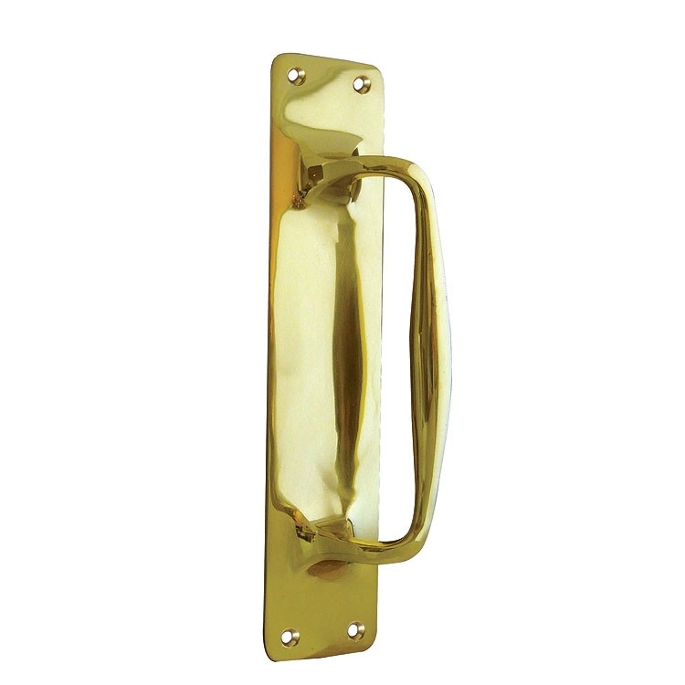 Jedo Polished Brass Pull Door Handle On BackPlate