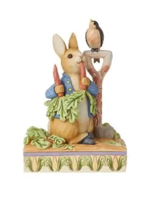 Peter Rabbit In The Garden Figurine