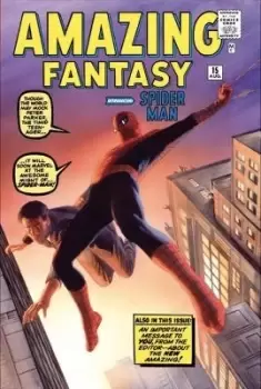 Amazing Spider-man Omnibus Vol. 1 by Stan Lee