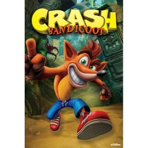 Crash Bandicoot - Next Gen Bandicoot Maxi Poster