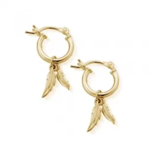 ChloBo Gold Plated Double Feather Hoop Earrings GEH1096