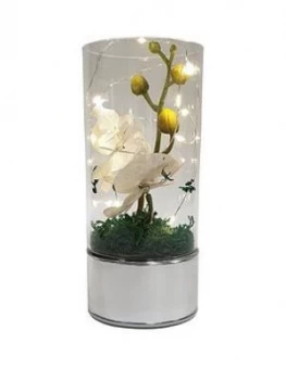Glass Tube With Artificial Flower And LED Lights